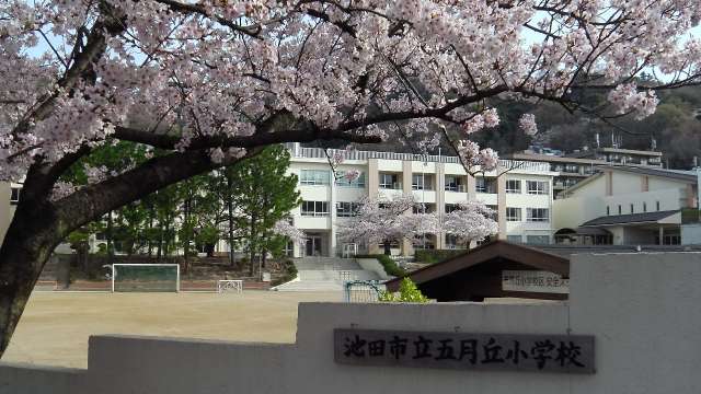 学校情報１