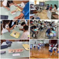 紫きゃべつの汁の色が変わった！