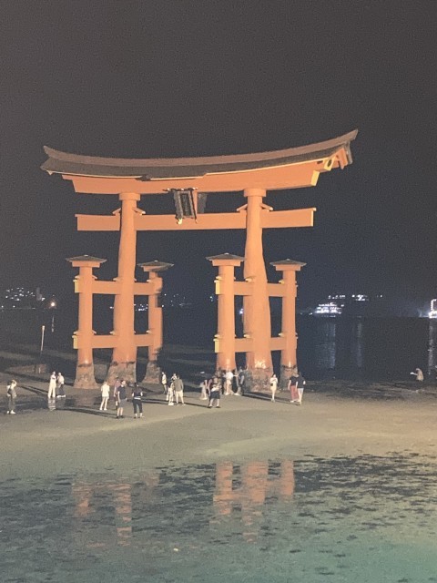 夜の散策