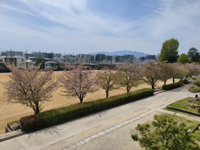 本日の校庭です